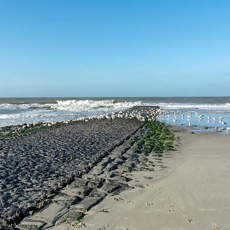 Appartement In With Dune Views *